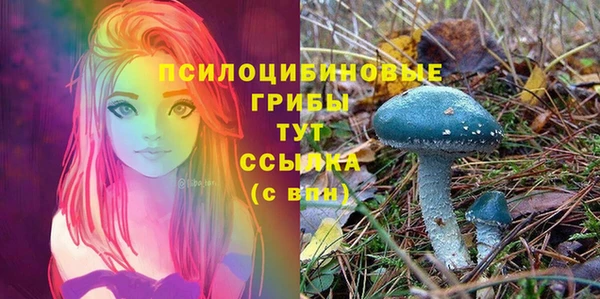 молекула духа Надым