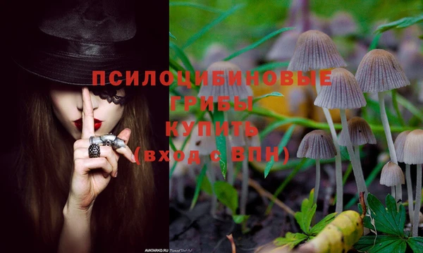 Альфа ПВП Наволоки
