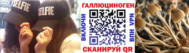 Псилоцибиновые грибы Cubensis Собинка