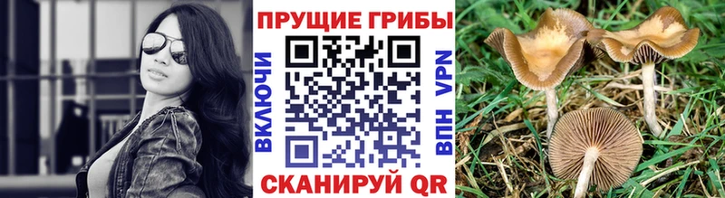 Псилоцибиновые грибы MAGIC MUSHROOMS Собинка