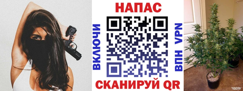 кракен сайт Собинка shop клад Марихуана Amnesia